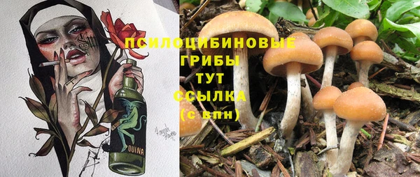 дурь Рославль