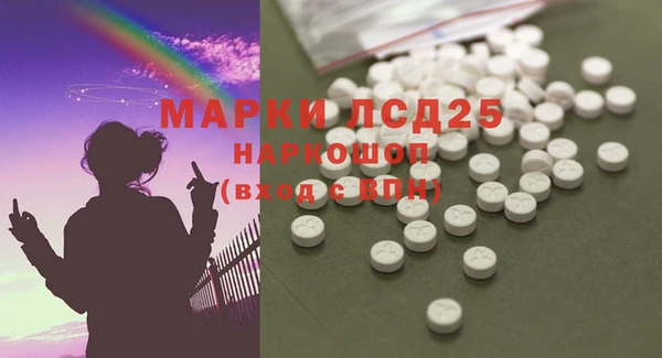 винт Алзамай