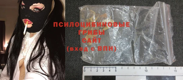 винт Алзамай