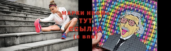 винт Алзамай