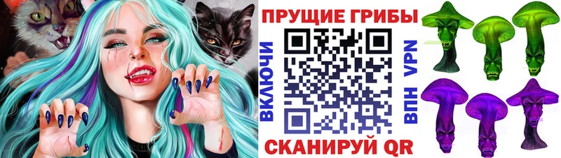Псилоцибиновые грибы MAGIC MUSHROOMS omg ONION Апшеронск