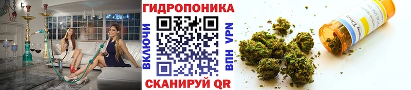 Бошки марихуана MAZAR  нарко площадка наркотические препараты  Апшеронск 